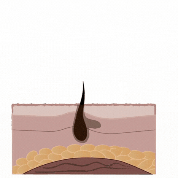 Consistent use helps support collagen and elastin,
improving the look of skin texture and promoting
a smoother, more radiant complexion.